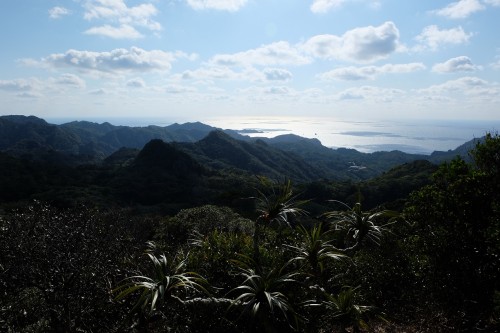 Les paysages magnifiques de l'archipel d'ogasawara au Japon, classé à l'UNESCO