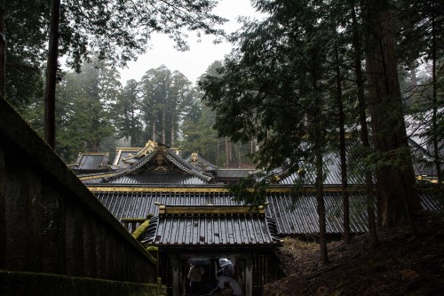 les escaliers en pierre au sanctuaire Toshogu à Nikko