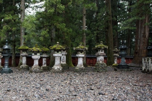 les lanternes de mousse au sanctuaire Toshogu à Nikko