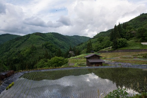 Le village de Tanekura où se trouve l'hôtel Tanekura Inn entouré de nature et de rizières tout près de Hida Furukawa, Gifu
