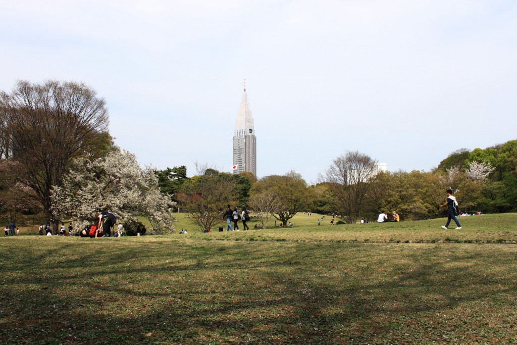 Parc Yoyogi Koen à Tokyo