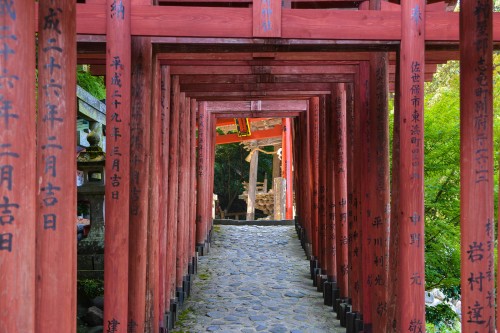 Le sanctuaire Yūtoku Inari dans la ville de Kashima, préfecture de Saga avec les beaux torii