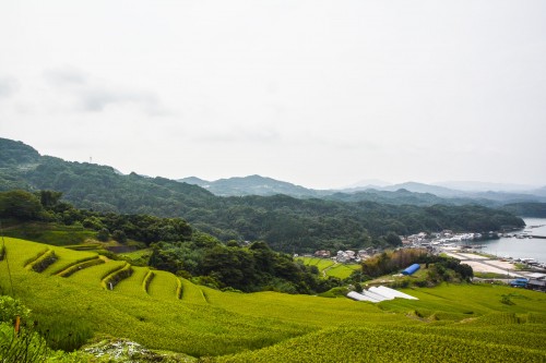 Les rizières en terrasse Oura Tanada dans la préfecture de Saga, sur l'île de Kyshu au Japon