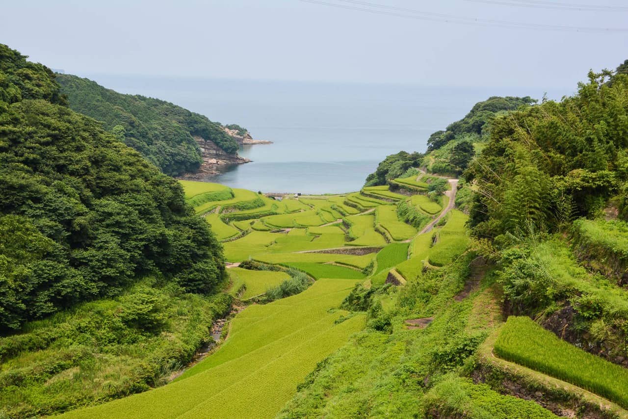 Les magnifiques rizières Hamanoura et Oura de Saga à Kyūshū