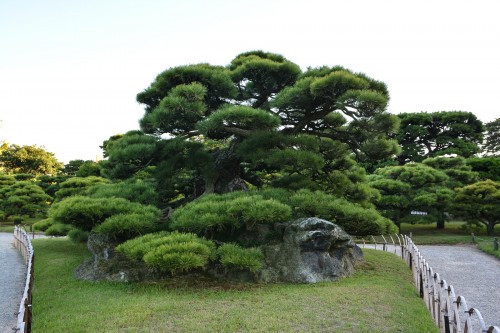 Le jardin Risturin à Takamatsu dans la préfecture de Kagawa au Japon