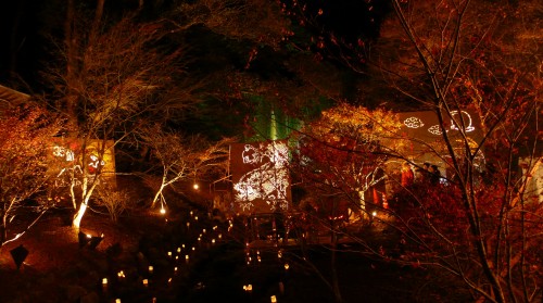 Festival des lanternes d'Ogi, Kiyomizu Take Akari, Saga, Kyushu, Automne