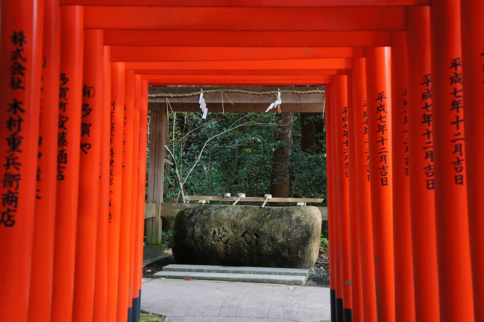 Rangée de torii vermillons du sanctuaire de Taga