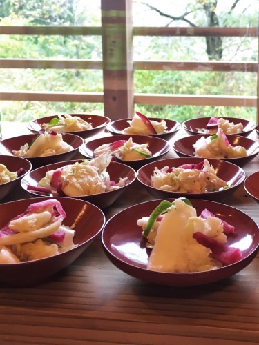 Yamakoshi, écotourisme, agriculture, Japon, Niigata, repas, gastronomie japonaise