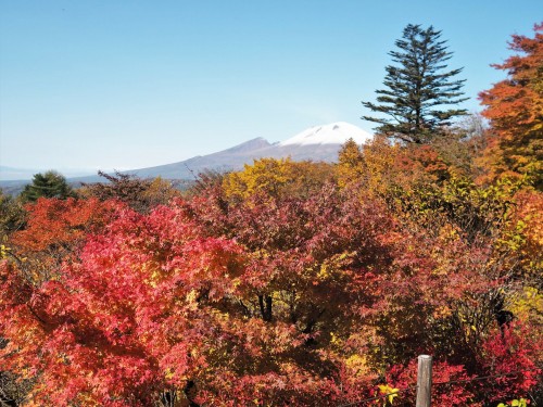Karuizawa, montagne, nagano, shinkansen, automne, usuitouge, mont asama