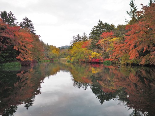 Karuizawa, montagne, nagano, shinkansen, automne, étang kumoba