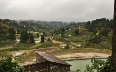 Yamakoshi, écotourisme, rizière, agriculture, Japon