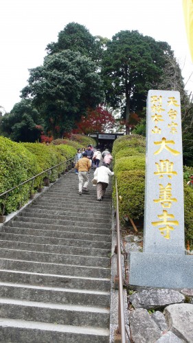 Temple Daikozenji, azalées, momiji, saga, kyushu