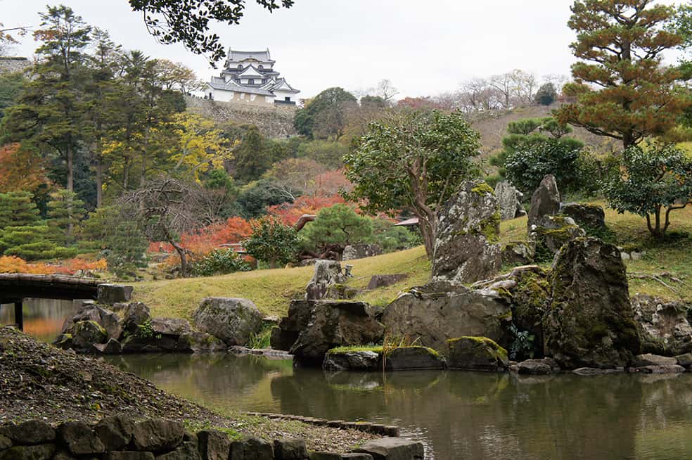 Jardin japonais près du château de Hikone dans la préfecture de Shiga