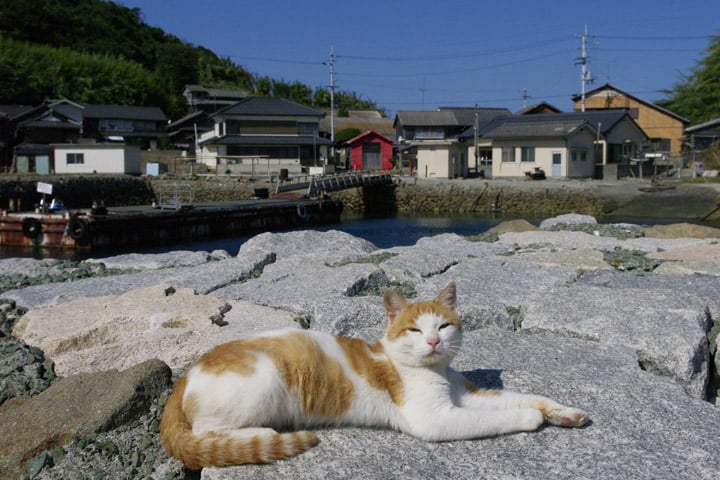 Top 3 des paysages d’Ozu dans le Shikoku