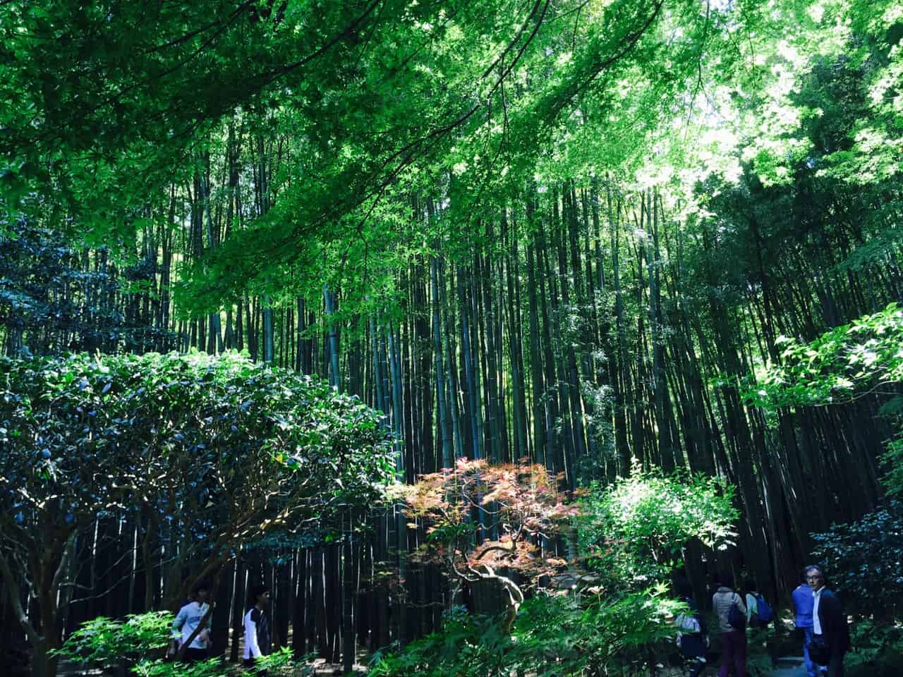 Kamakura, Japon