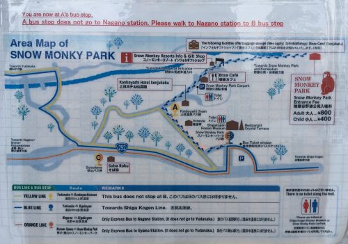 Snow Monkey Park, Macaques japonais, Nagano, Onsen