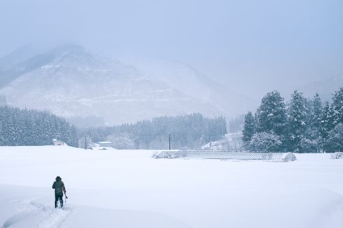 Takane, neige, raquettes, Niigata