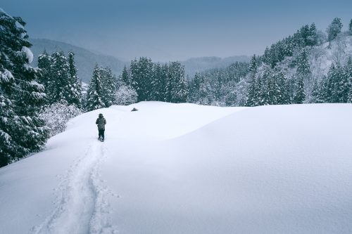 Takane, neige, raquettes, Niigata