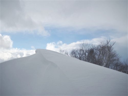 Koshi Kogen,Yamakoshi,Ski,Raquettes,Niigata