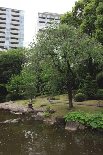Le jardin du sanctuaire Togo, Tokyo, Japon.