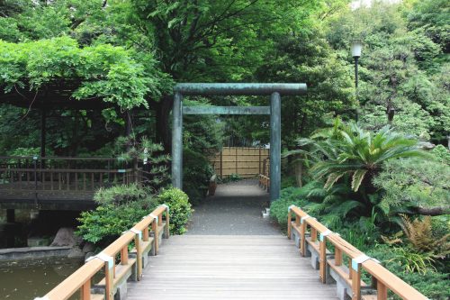 Un pont dans le jardin du sanctuaire Togo, Tokyo, Japon.