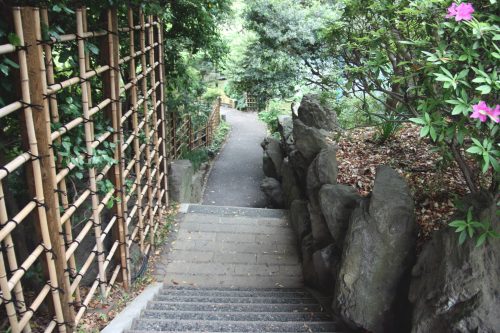 Un escalier dans le jardin du sanctuaire Togo, Tokyo, Japon.