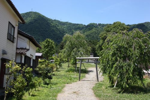 Dans le village de Yahiko aux alentours d'Iwamuro, près de Niigata au Japon