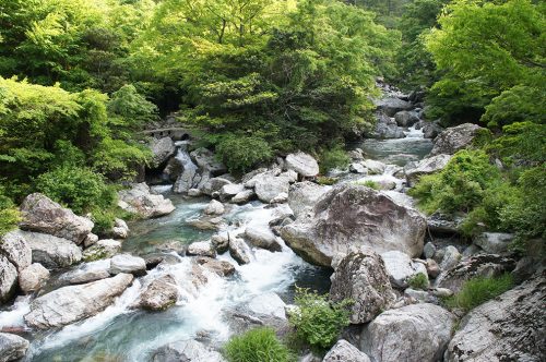La vallée d'Iwayagawa où coule la rivière Niyodogawa dans la préfecture de Kochi, Japon