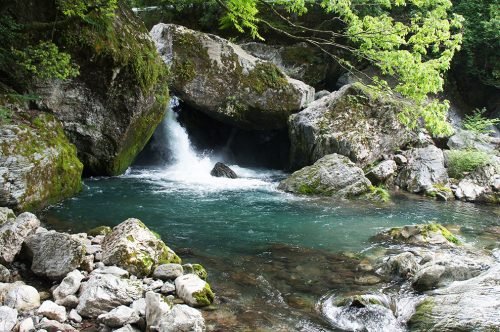 La vallée d'Iwayagawa où coule la rivière Niyodogawa dans la préfecture de Kochi, Japon