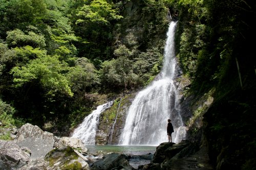Cascade dans la vallée de Yodo où coule la rivière Niyodogawa dans la préfecture de Kochi, Japon