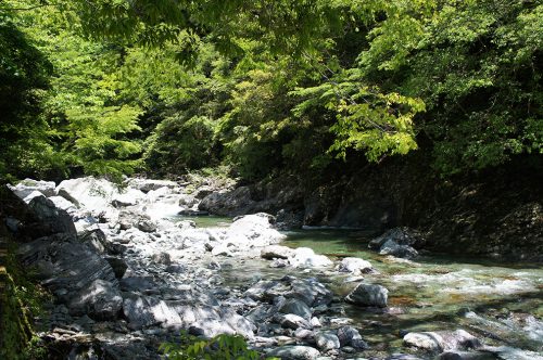 La vallée de Yodo où coule la rivière Niyodogawa dans la préfecture de Kochi, Japon