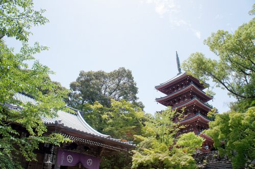 Le temple Chikurin-ji dans la ville de Kochi, sur l'île de Shikoku, Japon