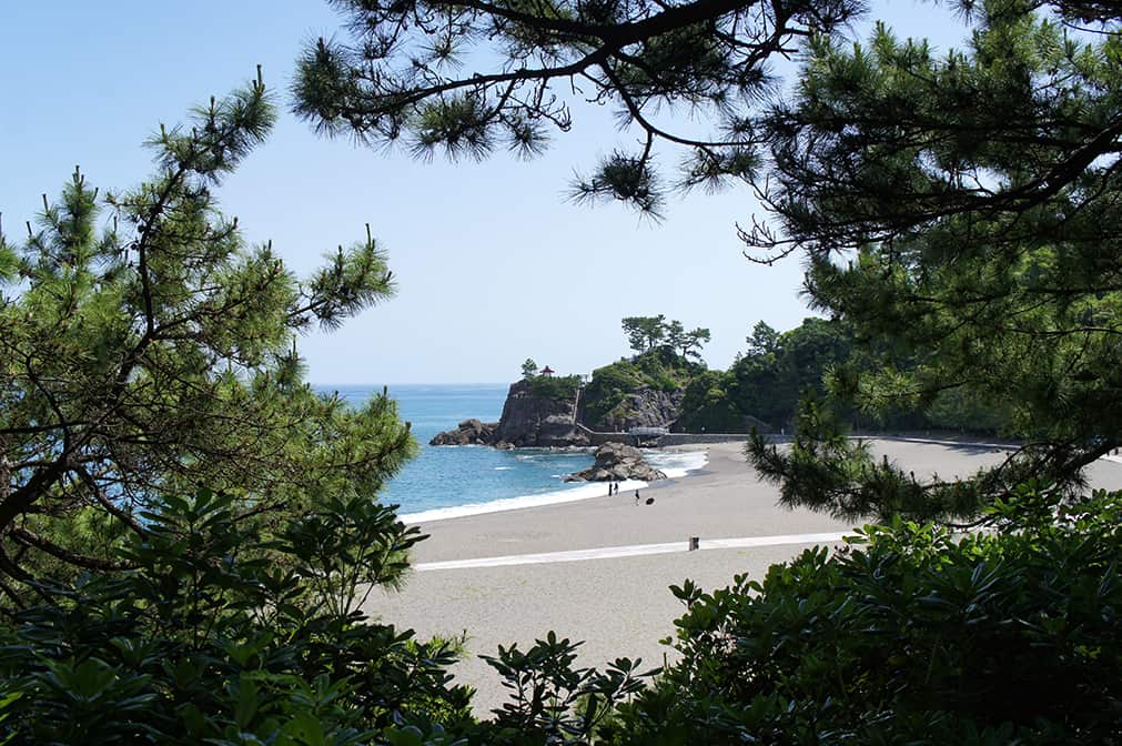 Découverte de Kochi, au sud de l’île de Shikoku
