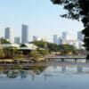 Jardins japonais à Tokyo