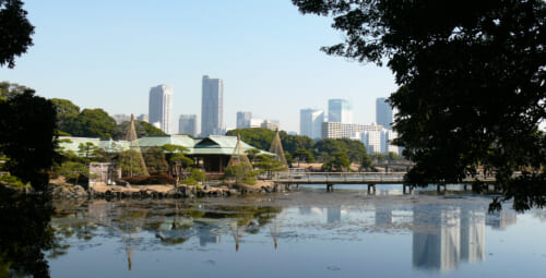 Jardins japonais à Tokyo