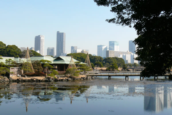 Jardins japonais à Tokyo