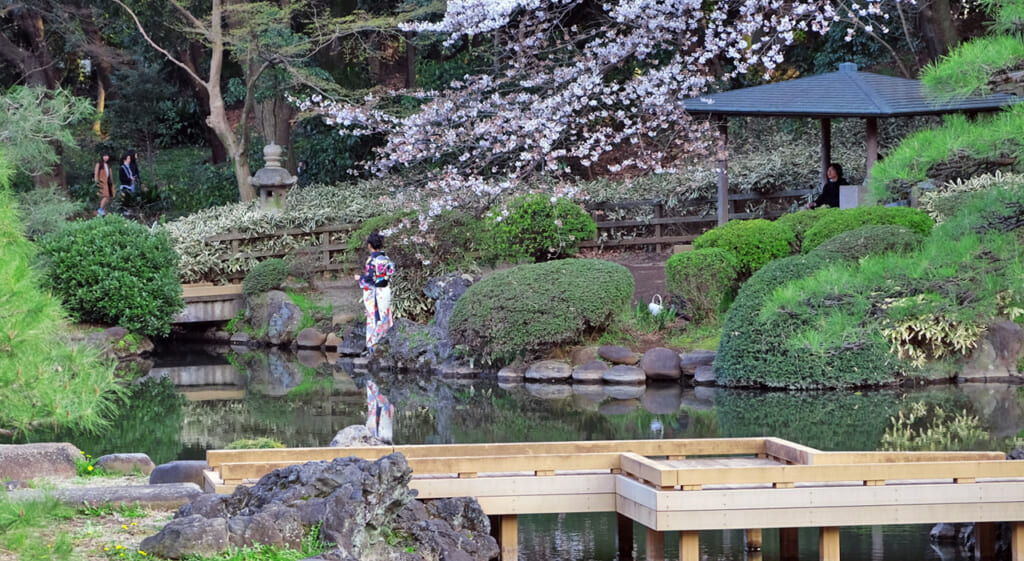 Shinjuku Gyoen au printemps