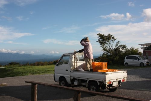 Vignoble Kuju Winery au parc national d'Aso-Kuju, préfecture d'Oita, Kyushu, Japon