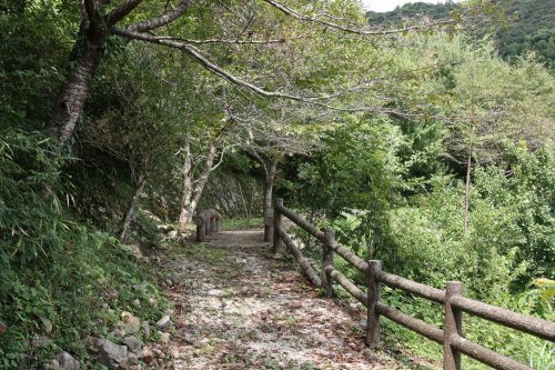 Randonnée olle à Kawara, préfecture de Fukuoka, Kyushu, Japon