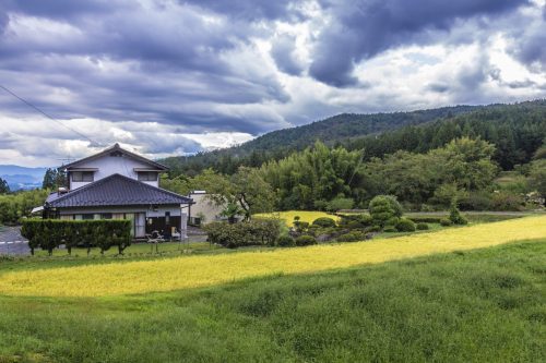 Panorama depuis le sentier de randonnée de la Nakasendō, préfecture de Gifu, Japon