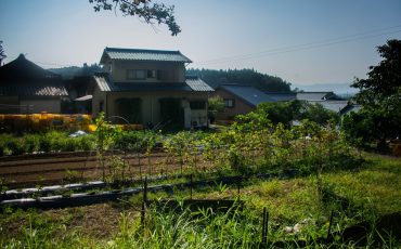 Une partie du potager de M. et Mme. Adachi