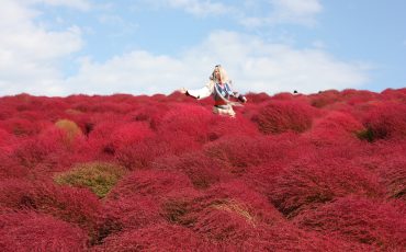 séance photo pour des amateurs de cosplay au milieu du hitachi seaside park