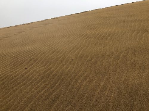 Ondulations naturelles sur les dunes de sable de Tottori, préfecture de Tottori, Japon