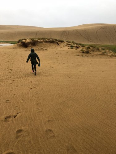 Dévaler les dunes de sable de Tottori, préfecture de Tottori, Japon