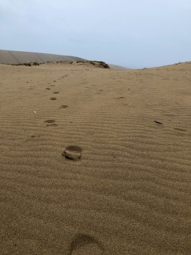 Les dunes de sable de Tottori, préfecture de Tottori, Japon