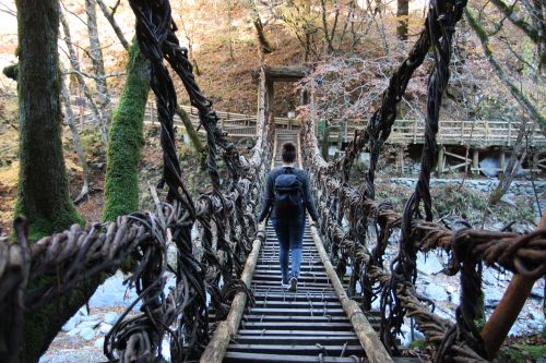 Pont en liane de la vallée d'Iya, préfecture de Tokushima, Shikoku, Japon