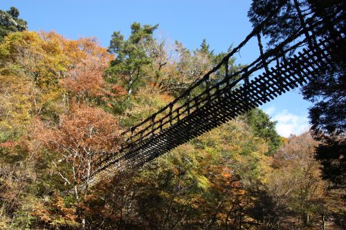 Pont en liane de la vallée d'Iya, préfecture de Tokushima, Shikoku, Japon