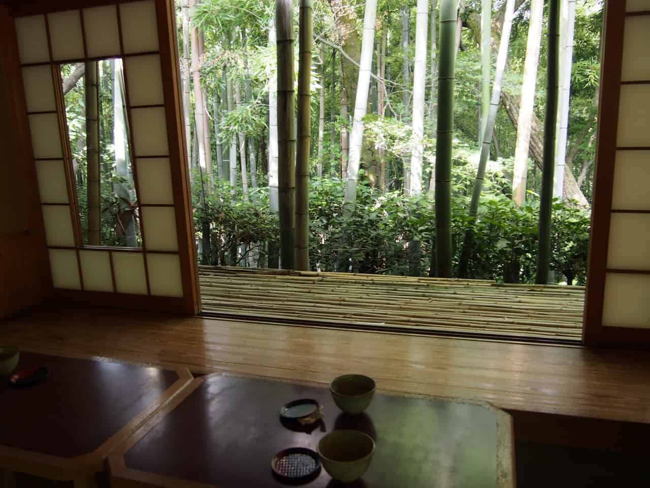 Prendre le thé face au jardin de la résidence Okochi Sanso, à Kyoto, Japon