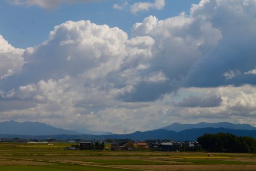 Les vastes rizières de la ville de Murakami, Préfecture de Niigata, Japon