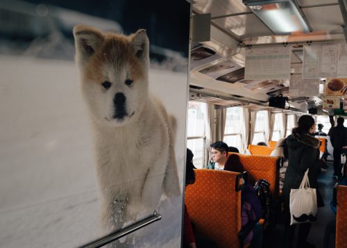 Décoration sur le thème des chiens Akita sur la ligne de train locale Akita Nairiku, préfecture d'Akita, Japon
